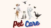 Pet Foods Care logo