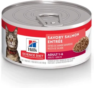 best wet cat food for indoor cats