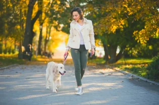 How Often Should You Walk Your dog