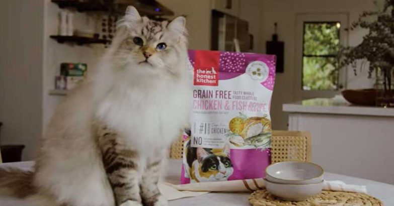 human grade cat food
